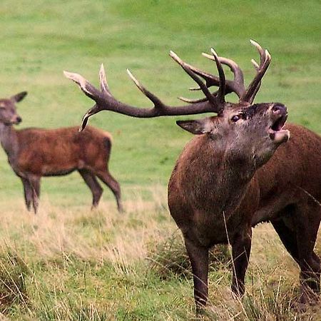 Hotel Rural Puerta De Monfrague ビジャレアル・デ・サン・カルロス エクステリア 写真