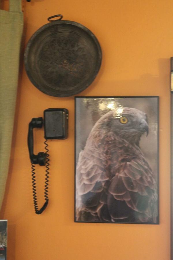 Hotel Rural Puerta De Monfrague ビジャレアル・デ・サン・カルロス エクステリア 写真